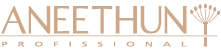 Logo Aneethum Profissional